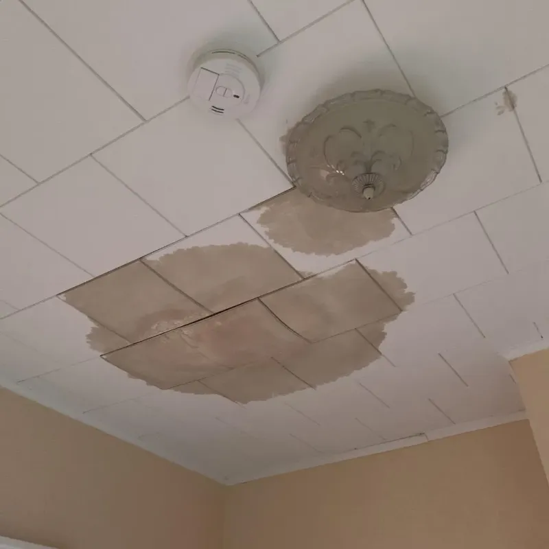 Ceiling Water Damage Repair in Custer County, MT