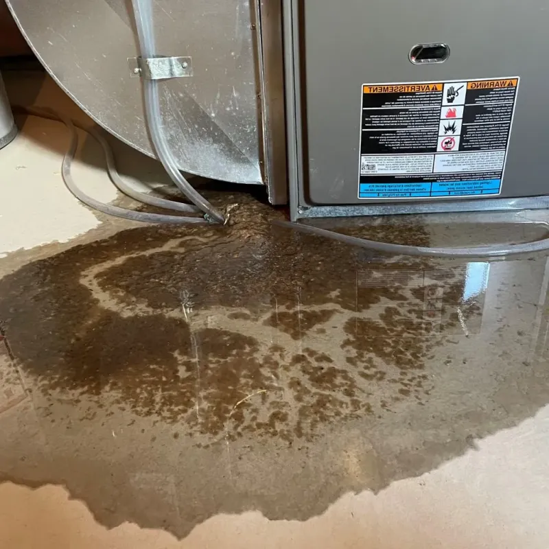 Pipe Burst and Leak Restoration in Custer County, MT
