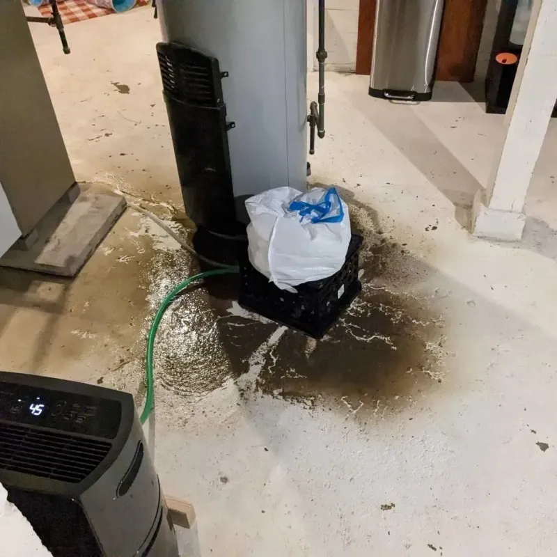 Sewage Backup Cleanup Service in Custer County, MT
